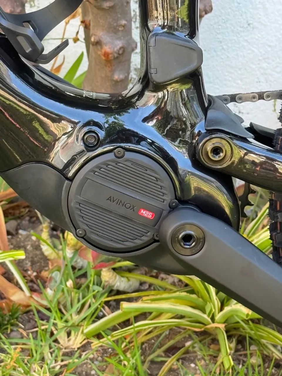Bicicleta Amflow PX Carbon - Avinox - Foto 3