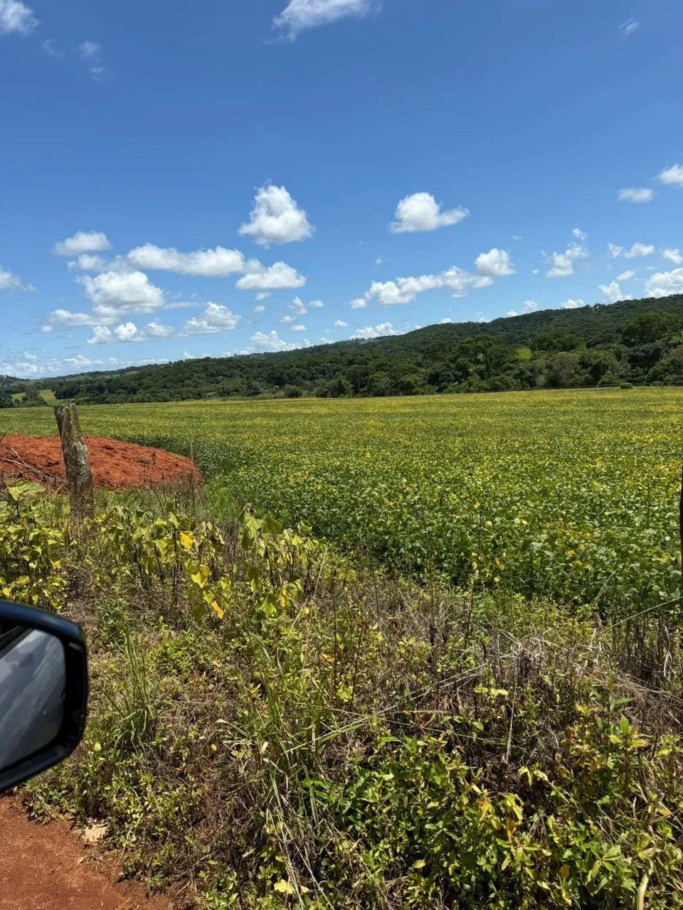 Fazenda Goianapolis - Foto 4