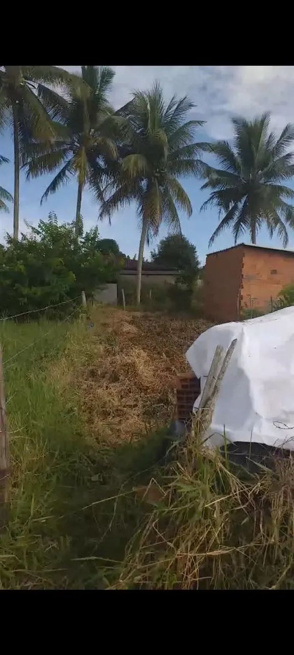 Terreno em areia branca 