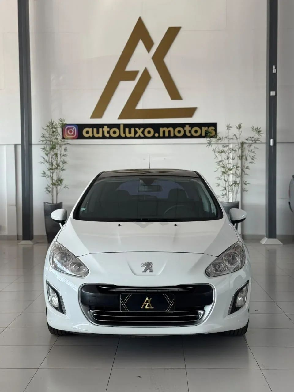 Peugeot 308 ACTIVE 1.6 16V FLEX 2014