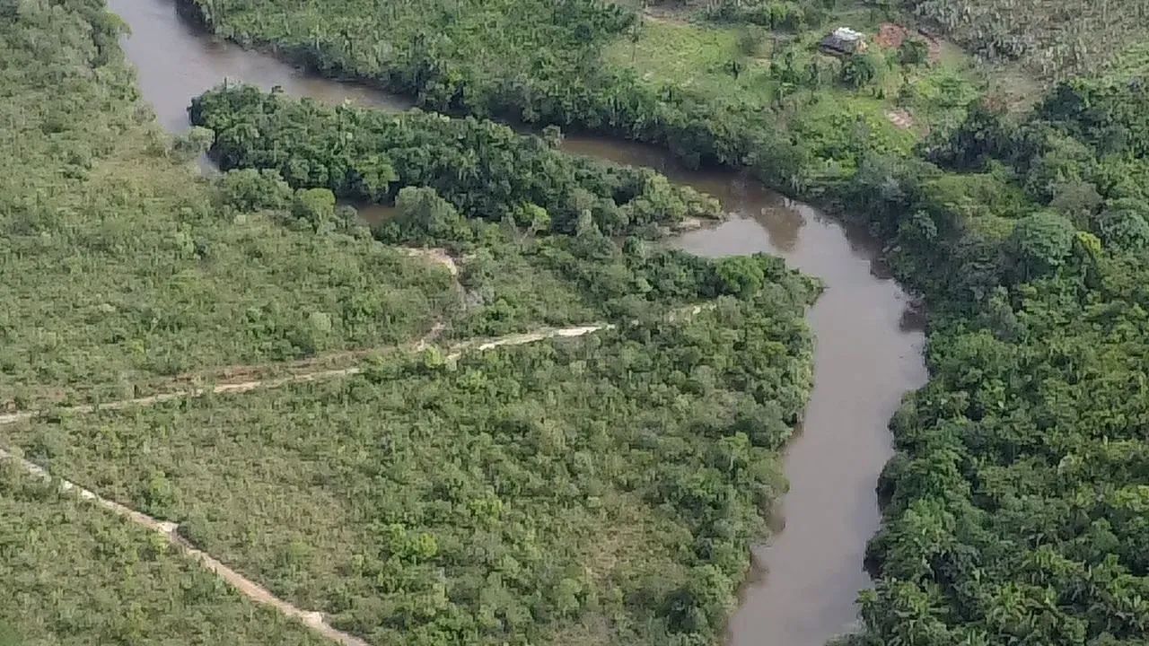 Fazenda dupla aptidão  - Foto 4