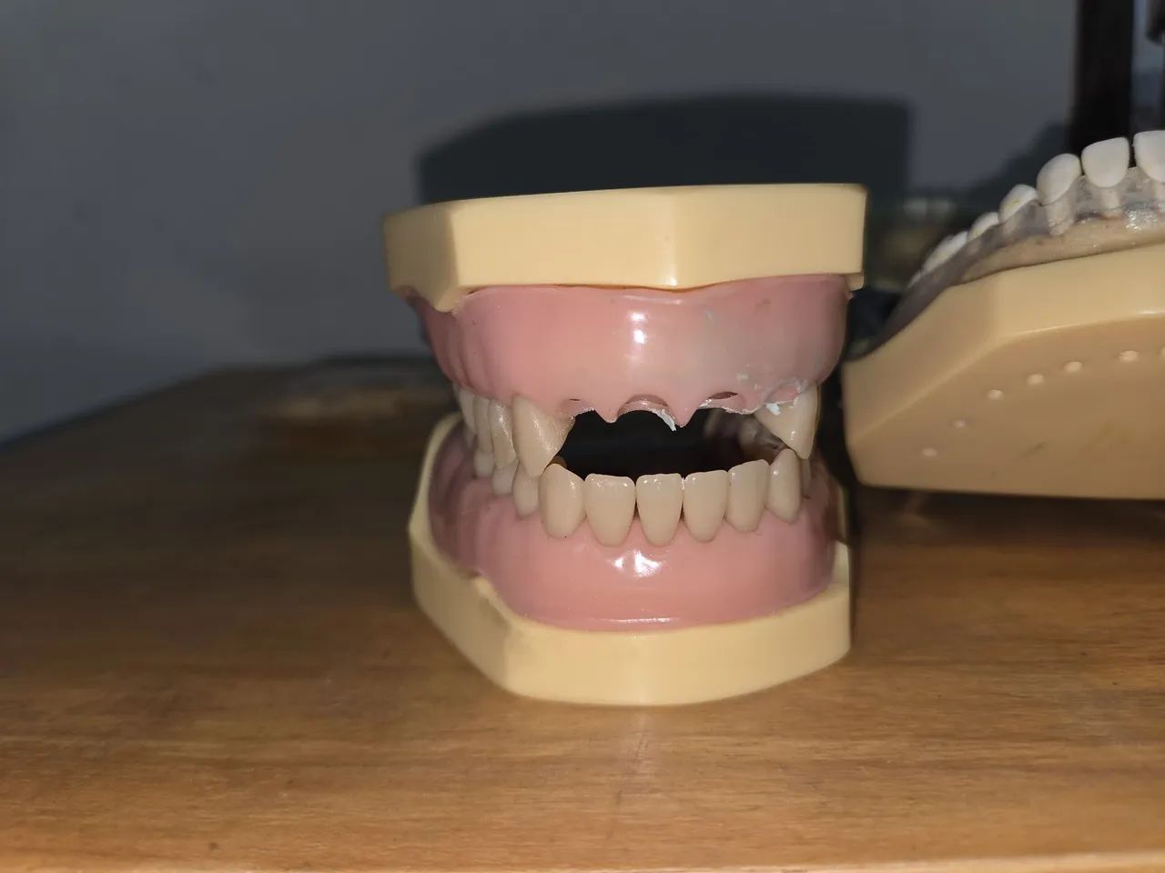 Manequins dentistica e perio  - Foto 3