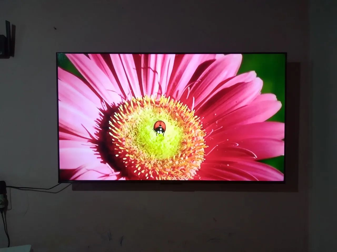 Tv  - Foto 2
