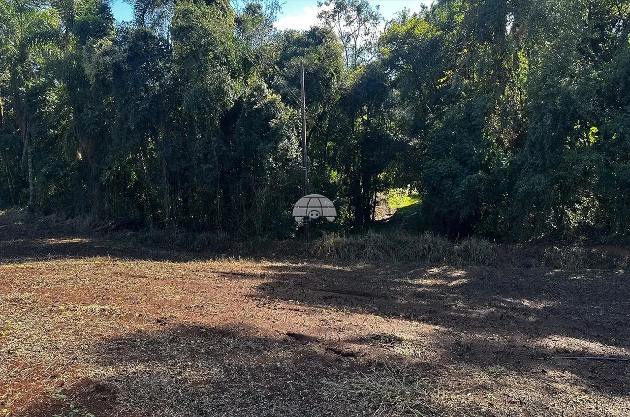 Vendas Área Pato Branco PR - Foto 2