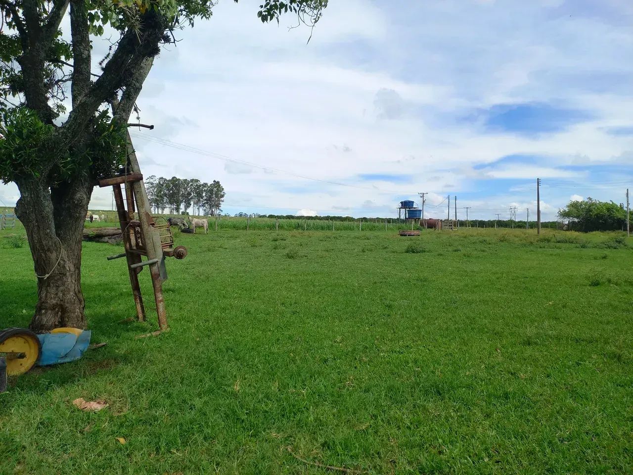 Imóvel para venda tem 363.000 m2, Piracicaba - SP - Foto 3