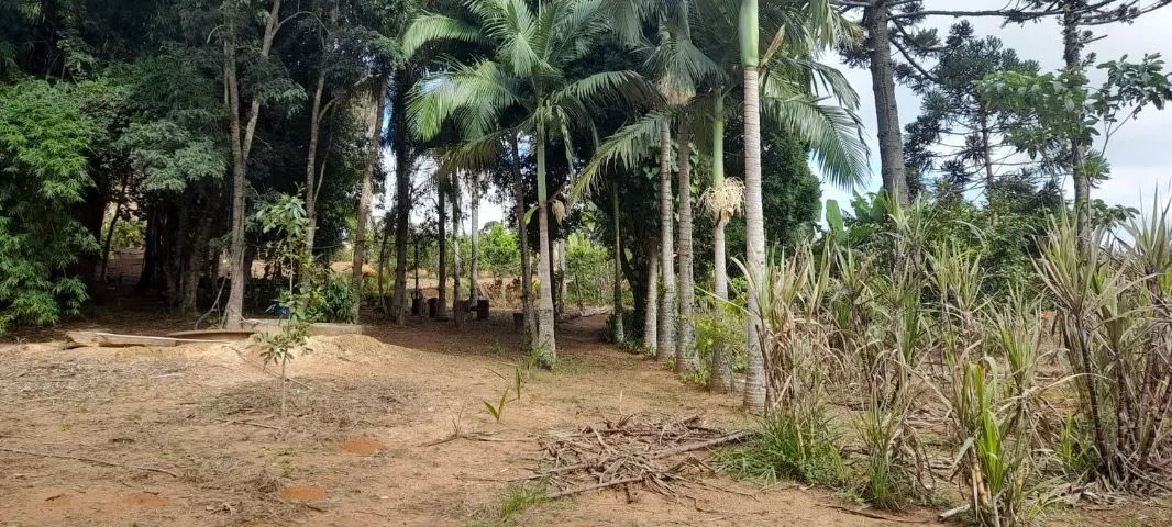 Venda ou troca-se Chacara em Capão Bonito  - Foto 4