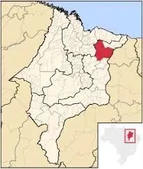 FAZENDA: Fazenda de 310 hectares a venda na beira do rio em Chapadinha-MA - Foto 3