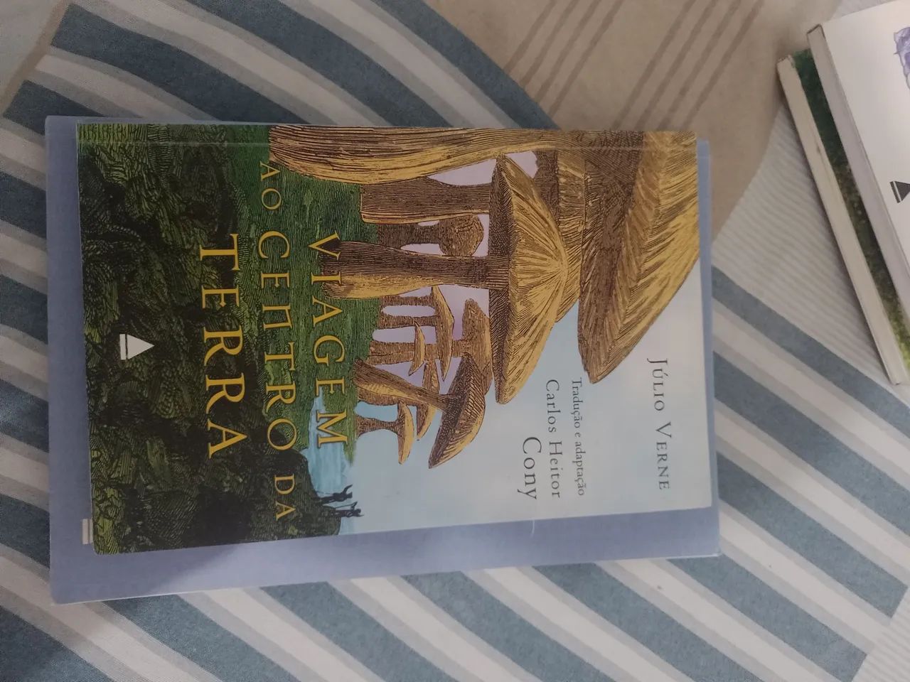 10 livro mistos  - Foto 3