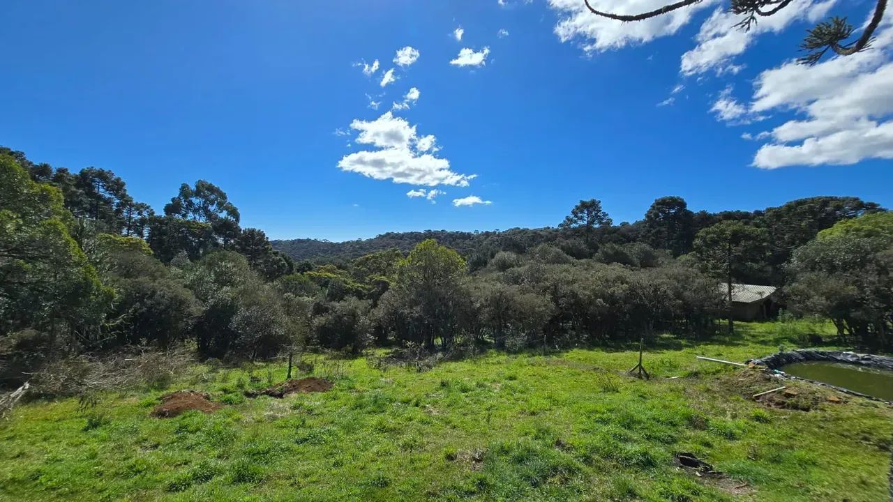 Terreno com casa e lindo riacho em Urupema - Foto 4