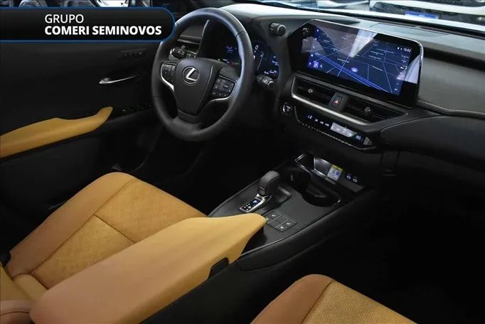 Lexus UX-300h 2.0 16V Aut. (Híbrido), foto 16 de 20