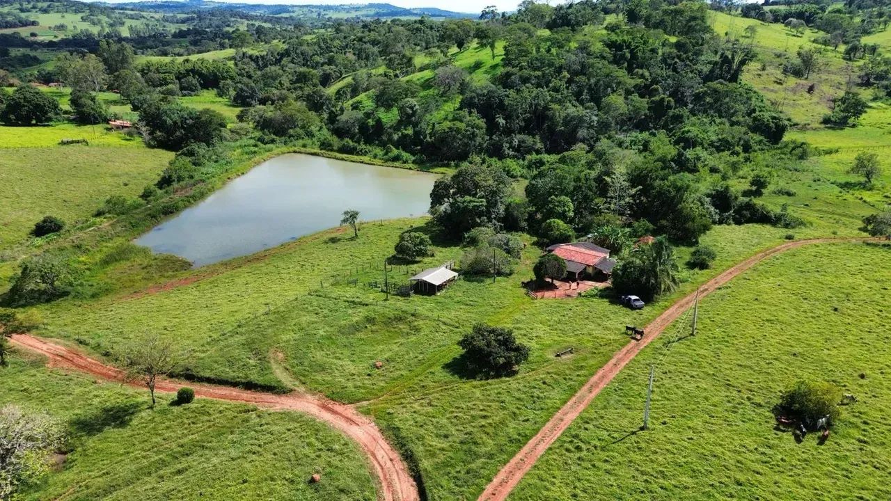 Chácara em Brazabrantes Go - 2.54 Alqueires - Foto 5