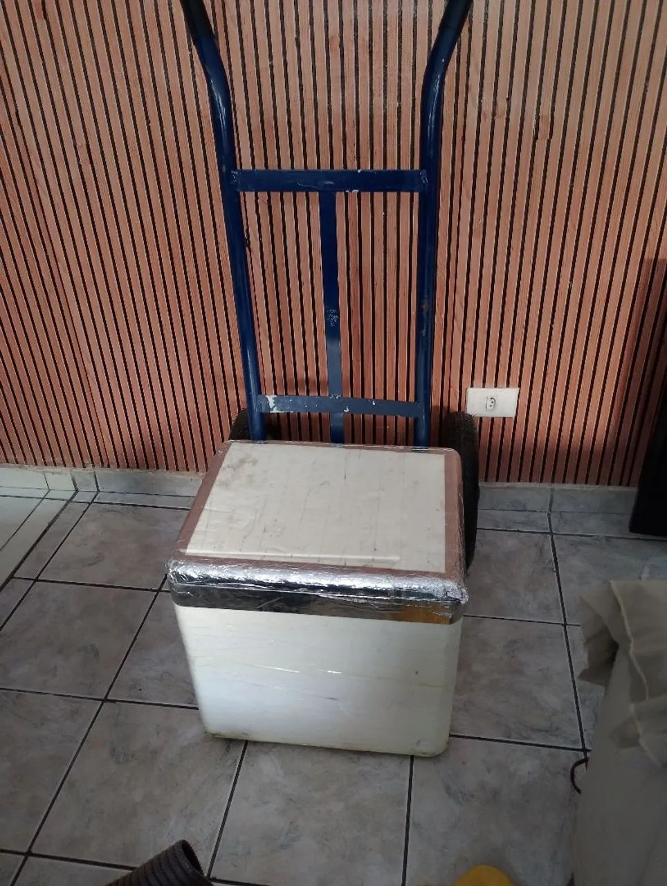 Carrinho de carga e Caixa de isopor 45lt