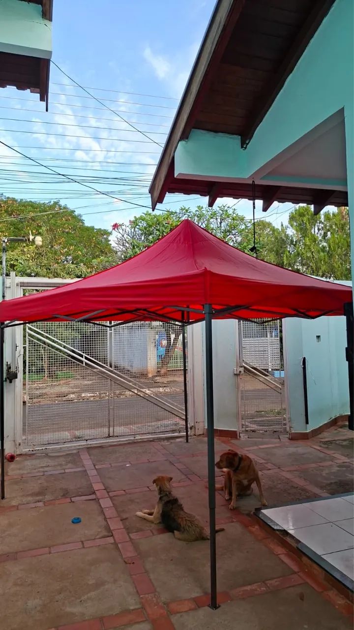 Tenda Sanfonada 3x3