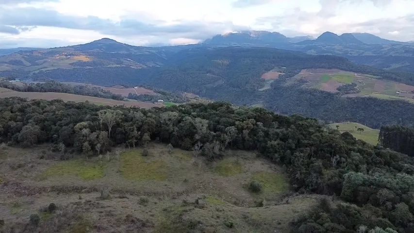 Terreno Alfredo Wagner 2 hectares, 2km do centro - Foto 5