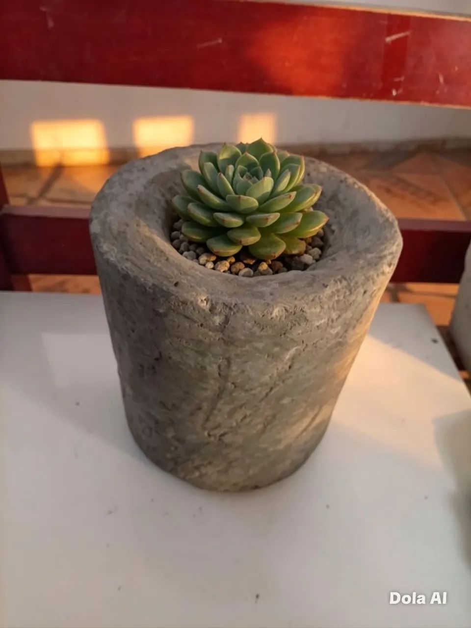 Vaso de plantas  - Foto 3