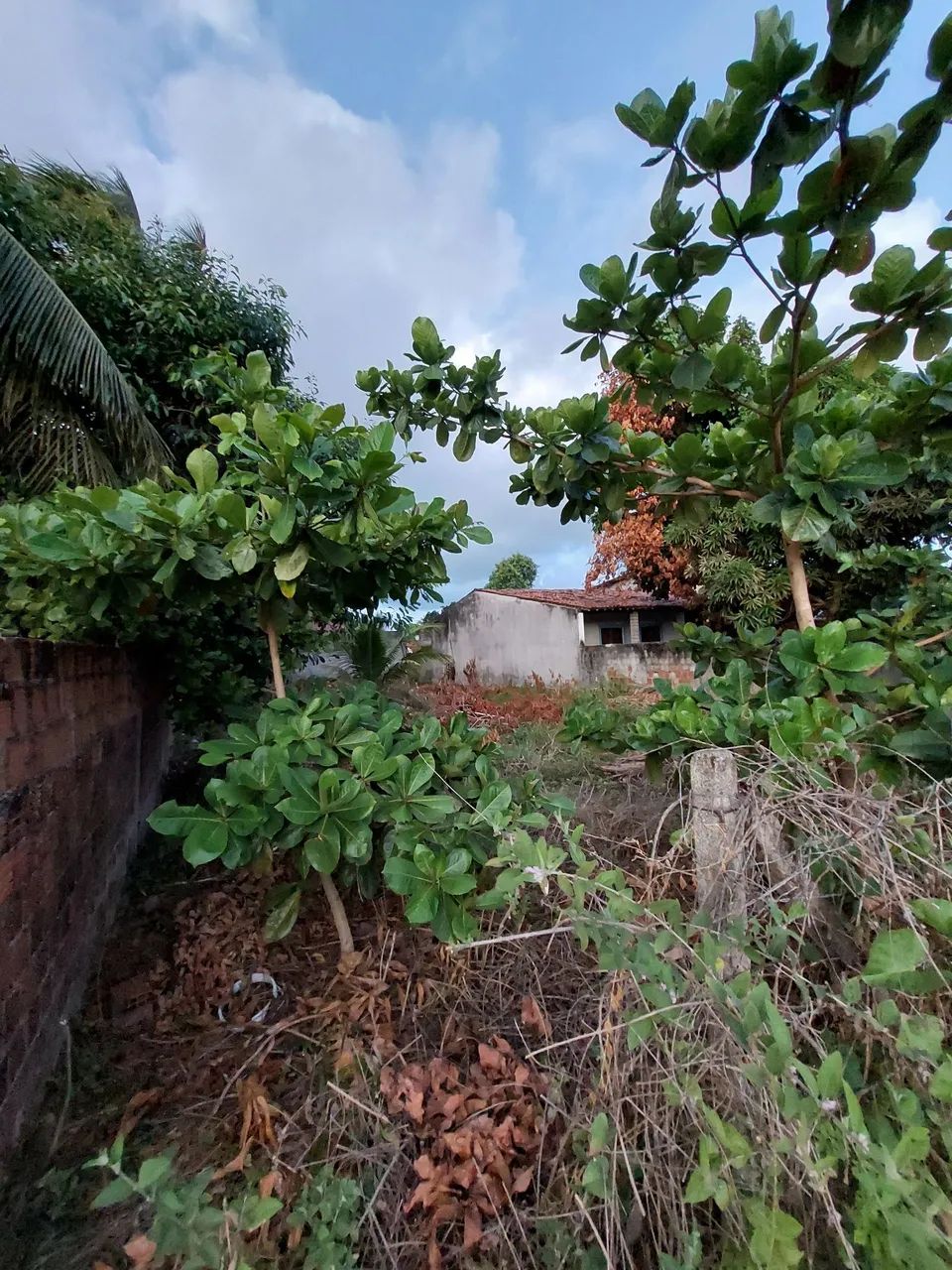 Terreno em catuama 12x30 troco em carro - Foto 4