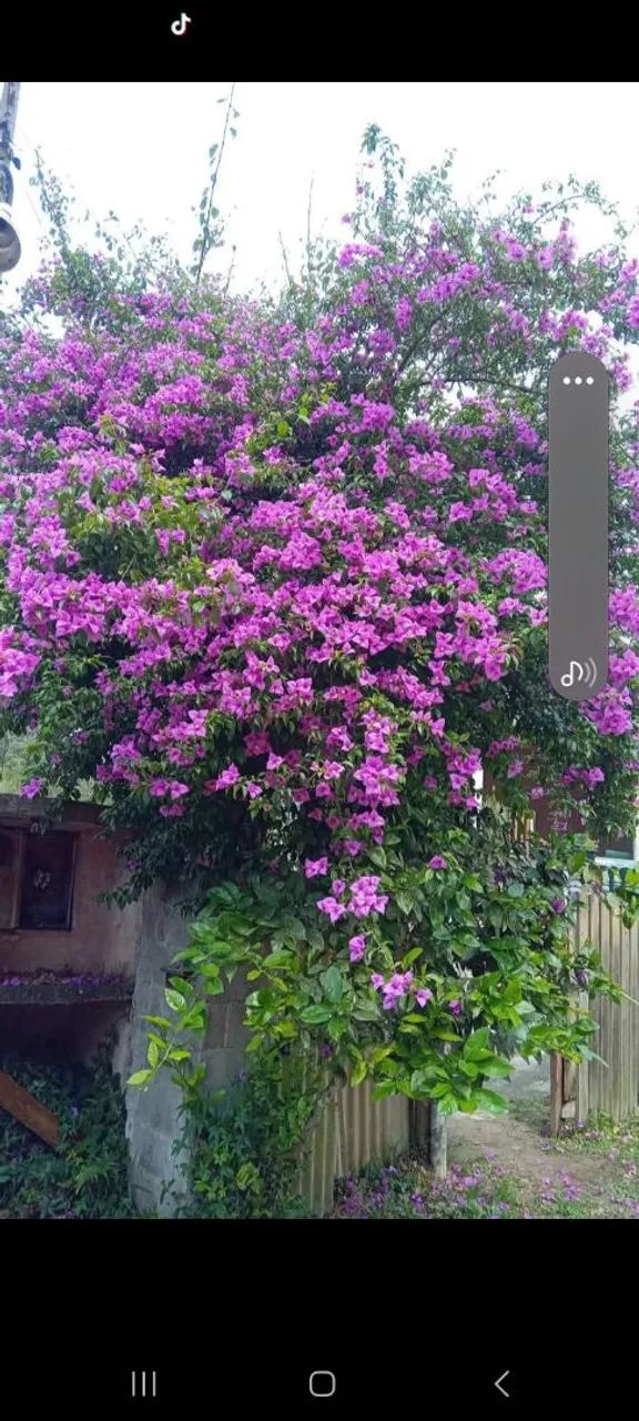 Foto - Embu Guaçu - 