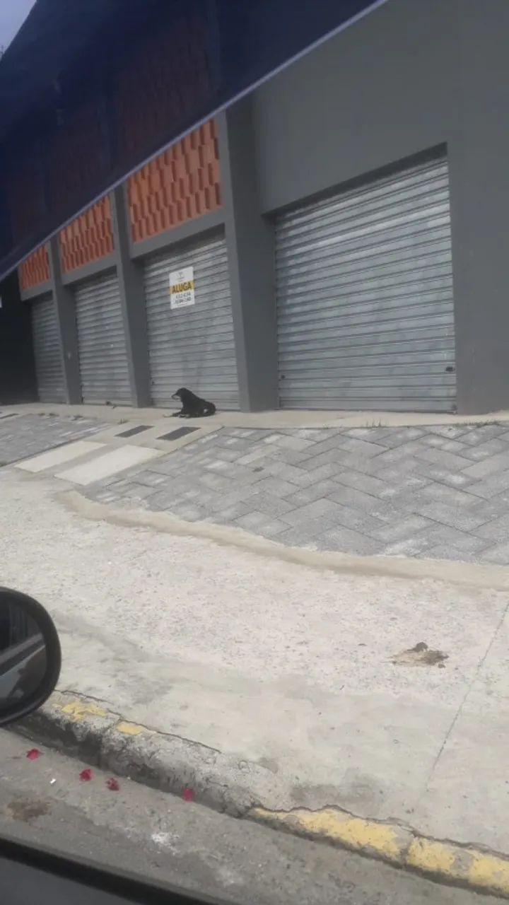 Sala Comercial para LOCAÇÃO com 20,01m² wm Mogi das Cruzes. - Foto 4