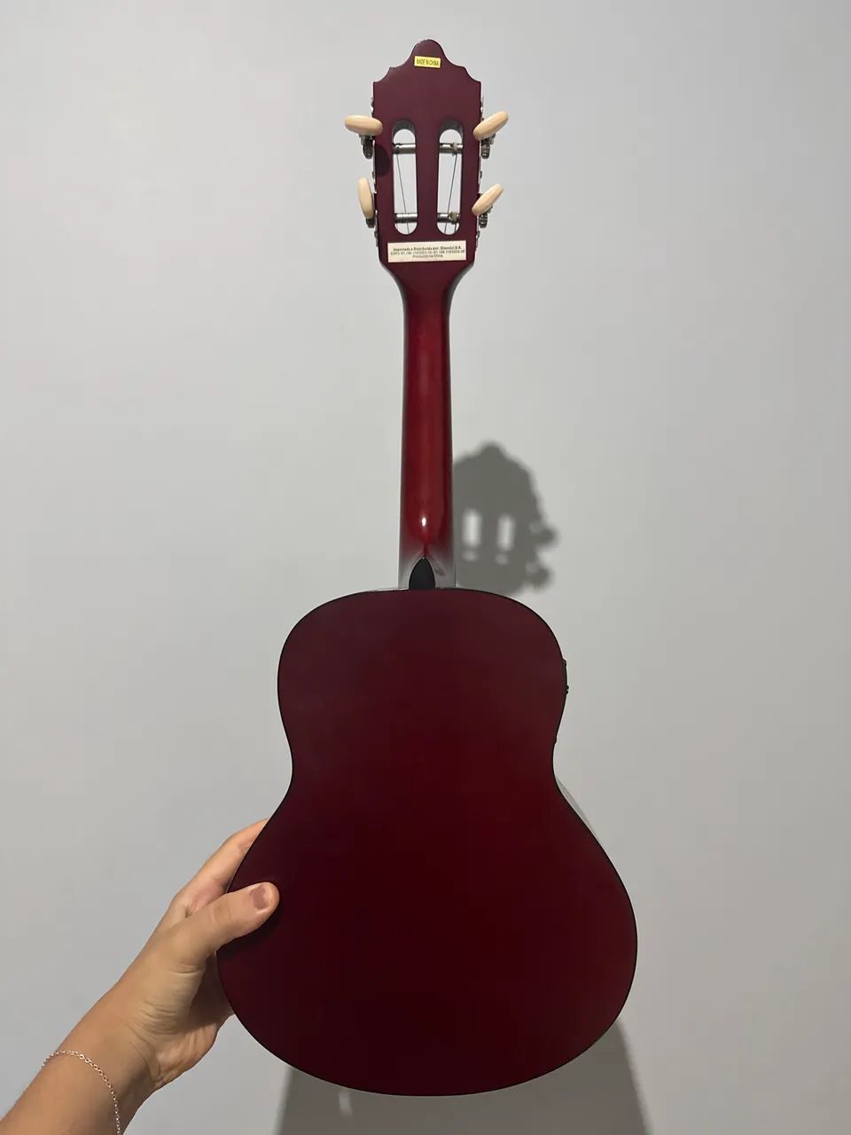 Vende-se cavaquinho Giannini+ case ( capa) - Foto 3