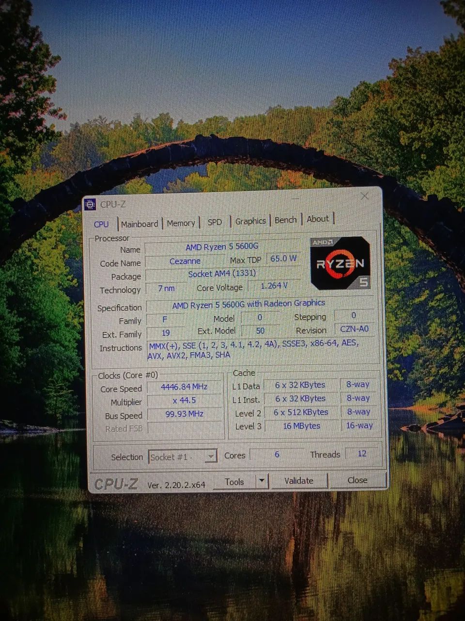 AMD RYZEN 5 5600G OEM
