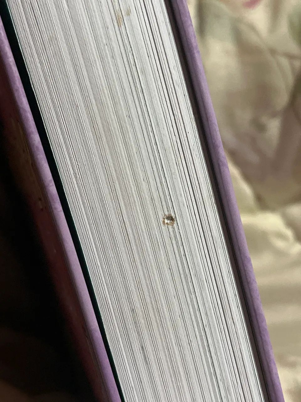 Livro Heartstopper Vol.4  - Foto 2
