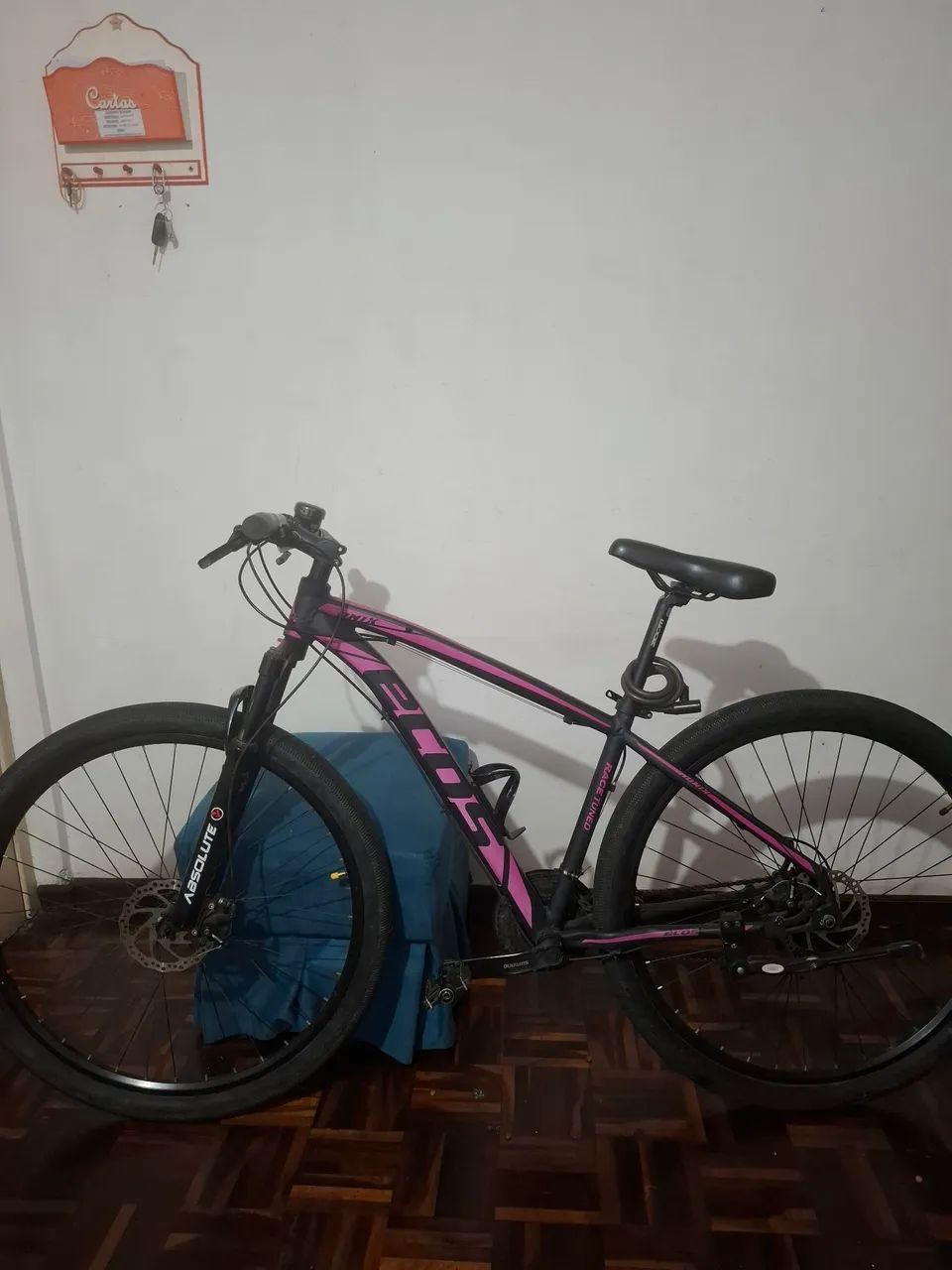 Bicicleta Ecos