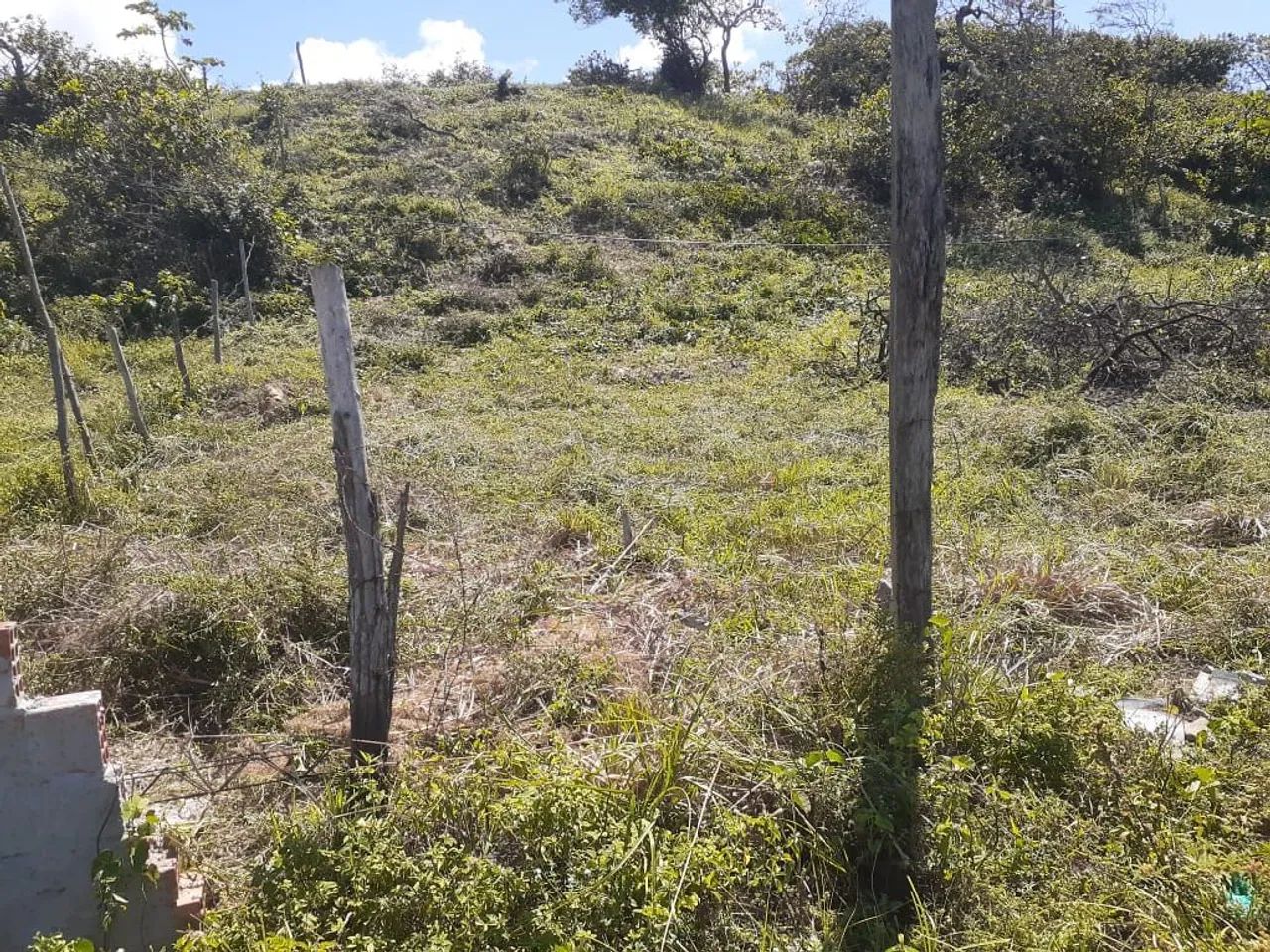 Vendo terreno em pirambu próximo da praia  - Foto 3