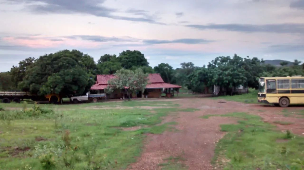 Fazenda Paraná TO - Foto 3
