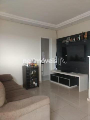 Apartamento à venda com 2 dormitórios em Serrano, Belo horizonte cod:658535 - Foto 6
