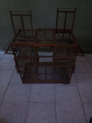 Gaiola para bigodinho