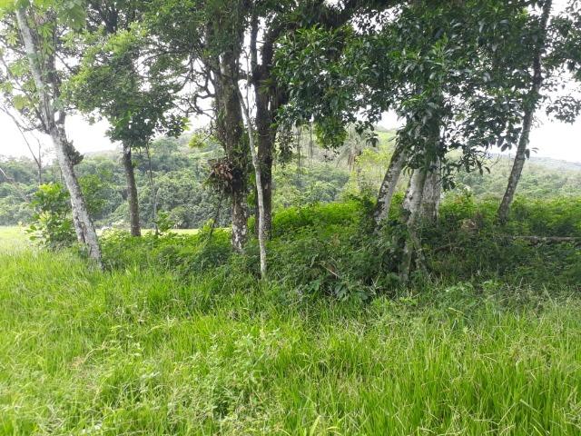 Caetano Imóveis - Terreno escriturado com 4.255m² (possui cachoeira privada dentro) - Foto 8