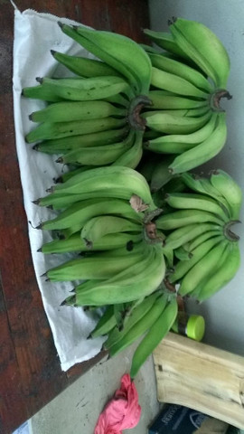 Banana da Terra Orgânica - Foto 2