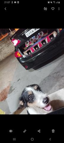 Corolla - Foto 4