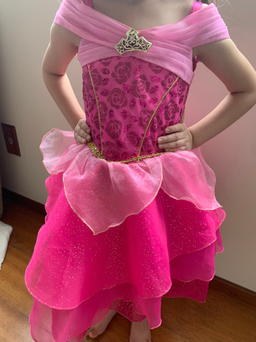 Vestido Princesa Aurora