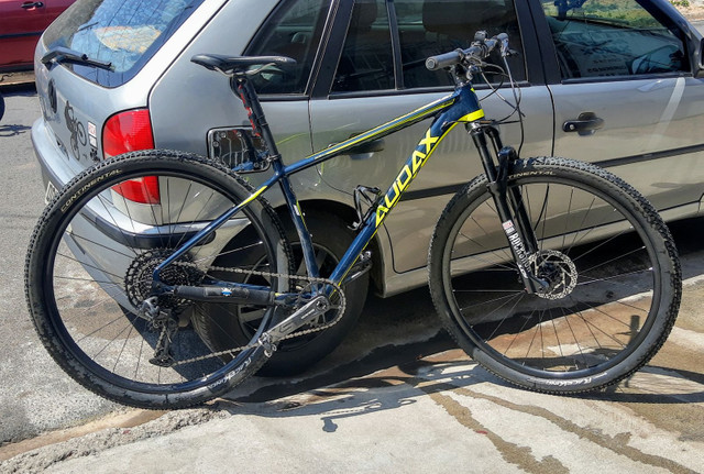 Audax 29