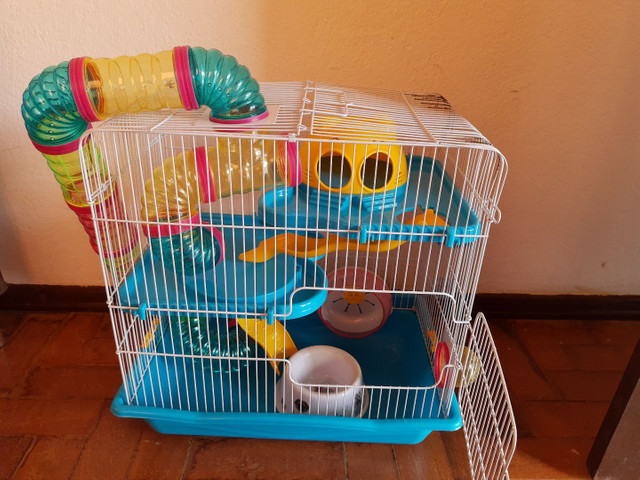 Gaiola