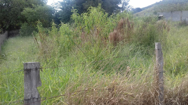 Aceito 100% wibx - Vende-se um terreno sul de minas com 538 M2. - Foto 2