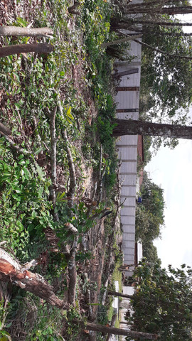 MURO PRÉ FABRICADO - Foto 5