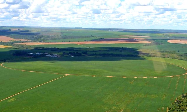 350.000.000                Fazenda em Ipameri Go 417 Alq com 305 em lavoura - Foto 5