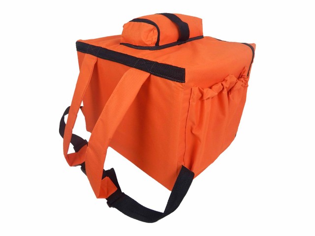 bolsa delivery olx