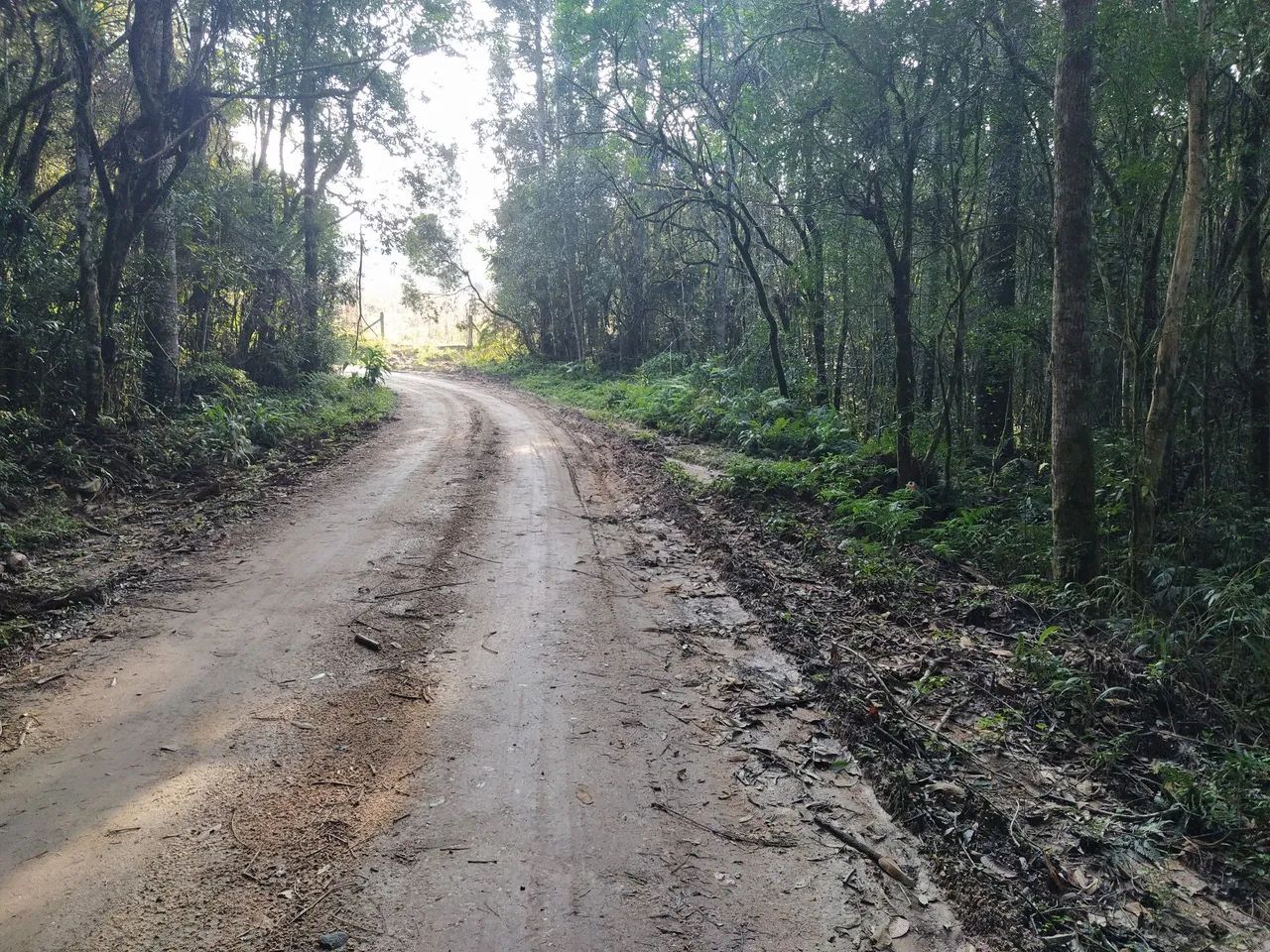 Sítio , Pangaré VELHO  - Foto 3
