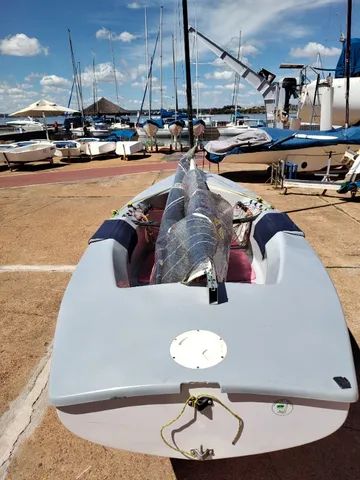 Finn Hollus - Foto 5