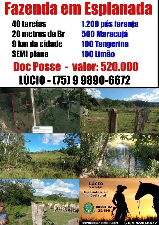Sítio - Esplanada Ba / 40 tarefas - 17 Hectares