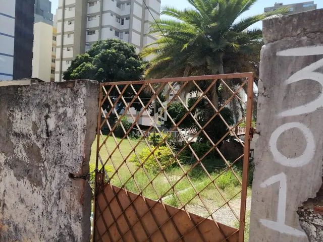 terreno - Jardim Proença - Campinas - Foto 2
