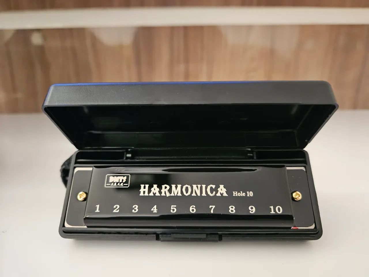 Gaita Harmônica 10 e 24 furos DMTS  - Foto 2