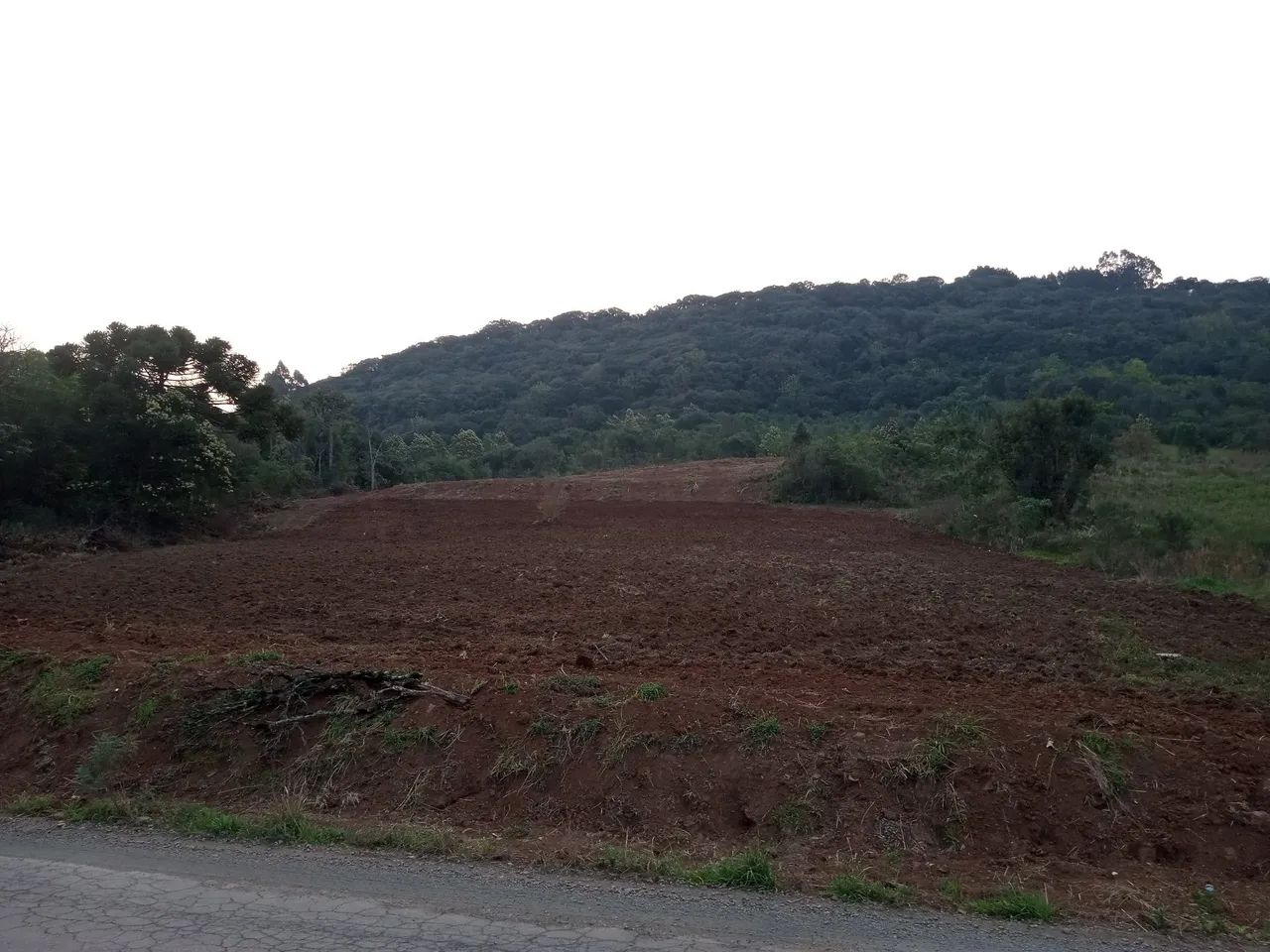 Área para investimento 2 a 7 hectares em Gramado  - Foto 3