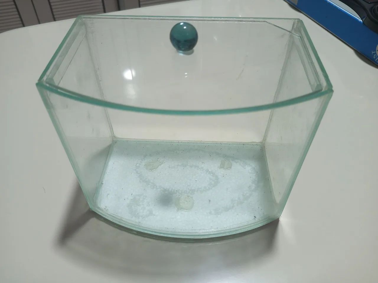 Aquário de vidro pequeno