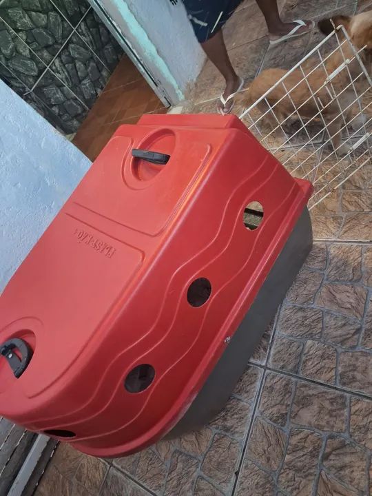 Casa cachorro ou gato  - Foto 5