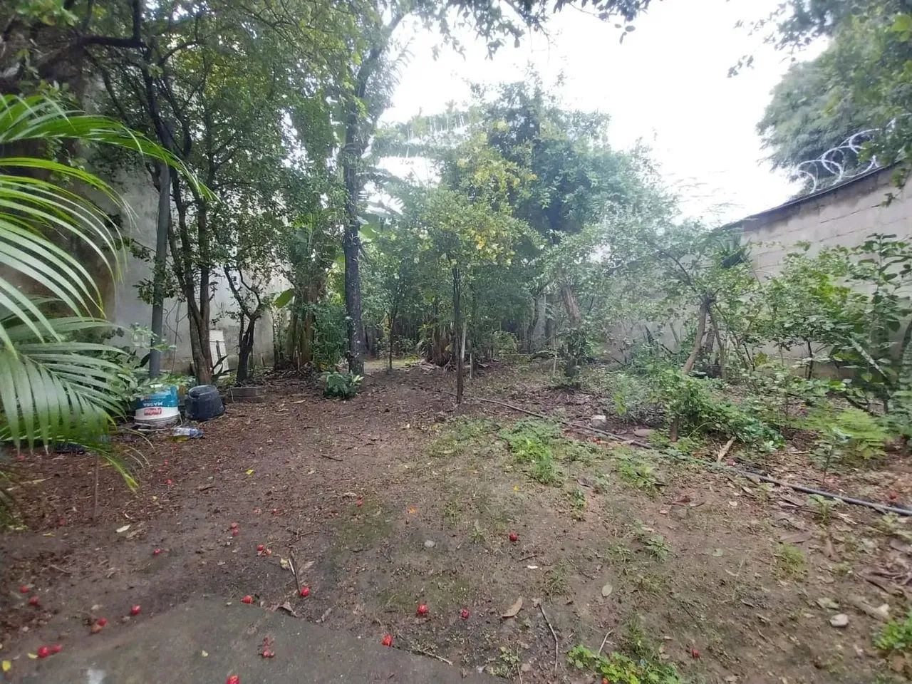 TERRENO PLANO NO PECHINCHA EM JPA COM 370 METROS QUADRADOS.