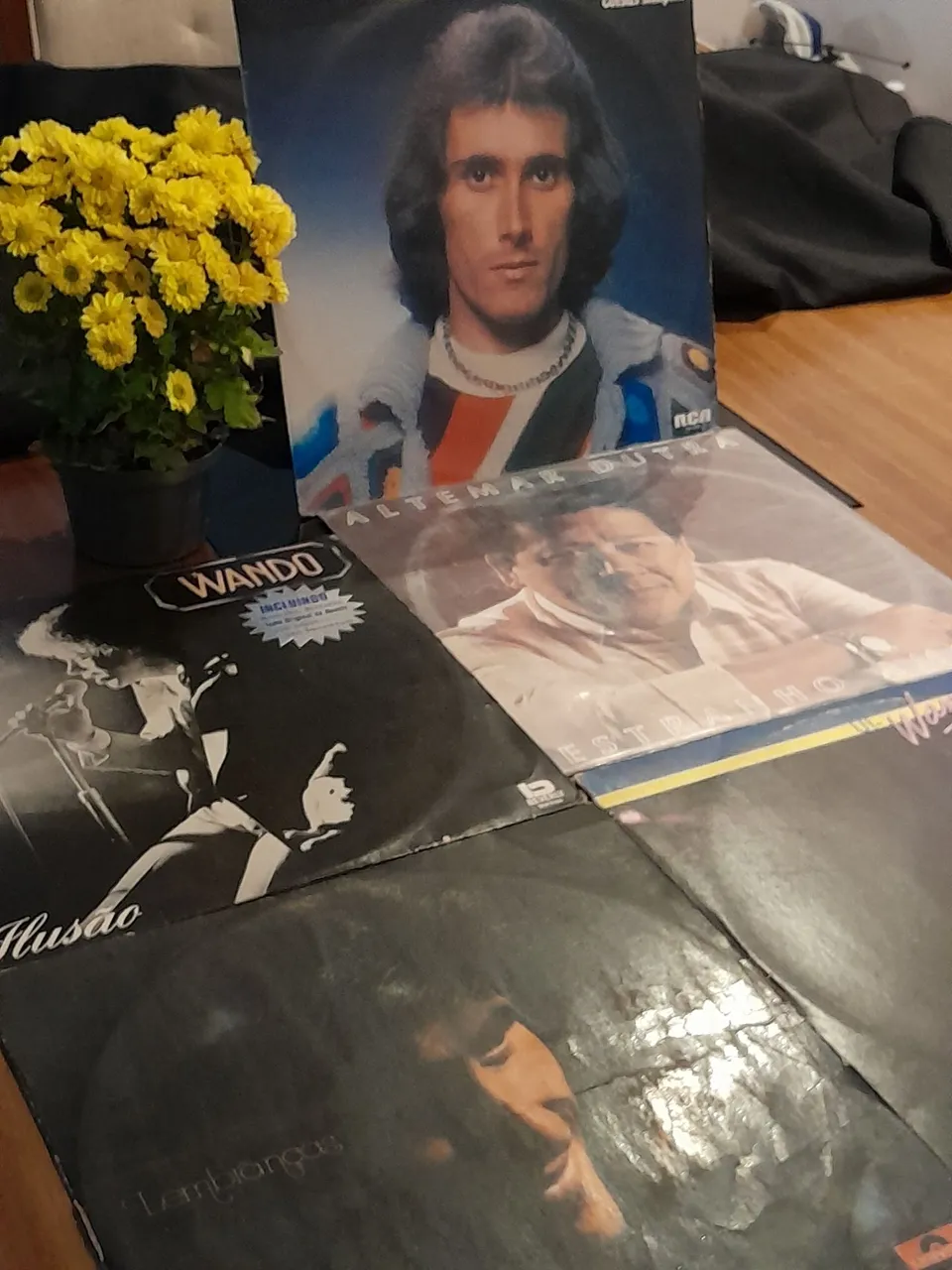 Coleção de Discos de Vinil - Música Brasileira und. 10 reais